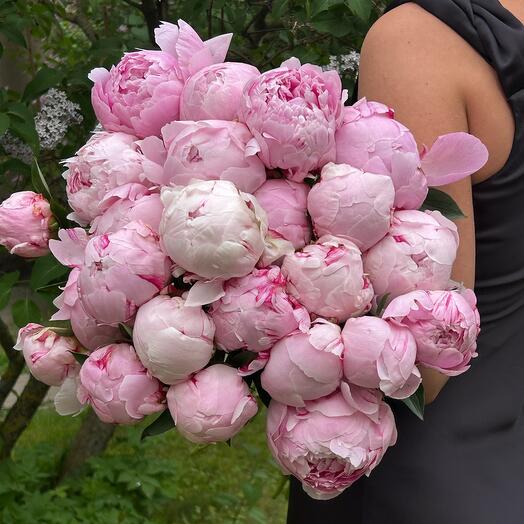 25 нежных пионов 💓