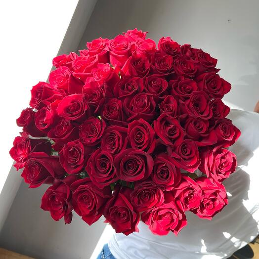 51 Роза Эквадор