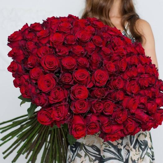 Букет из 101 розы Эквадор🌹