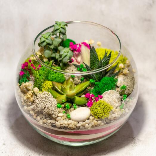 Флорариум М. Яркий шар