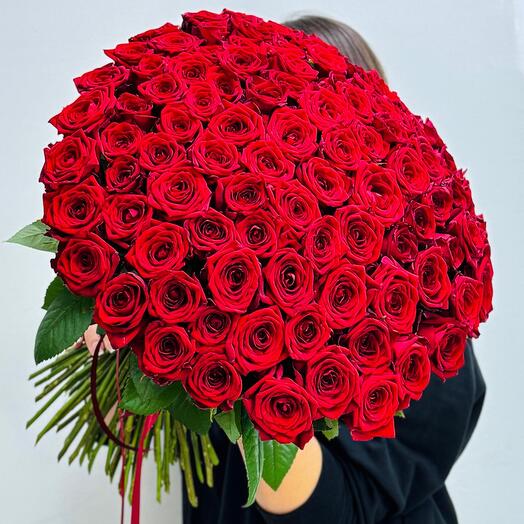 101 роза красная 50см «Red-Naoml»