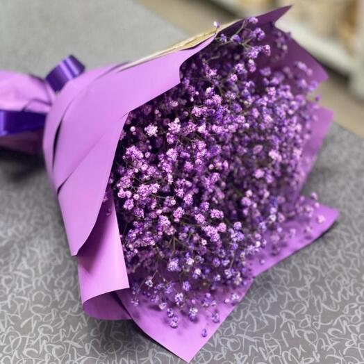 Purple Gypsophila