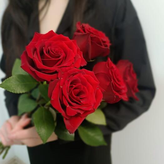 Bordeaux roses