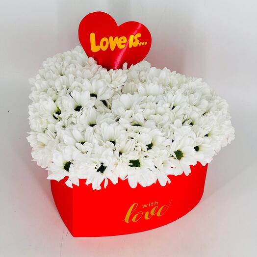 Сердце из цветов белых ромашек кустовых хризантем love