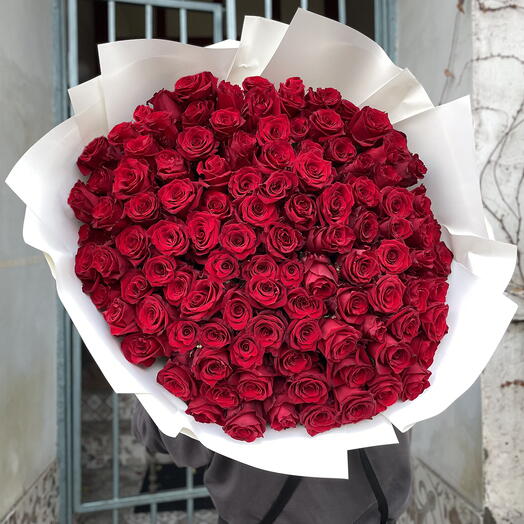 101 maroon roses