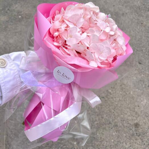 Hydrangea💗