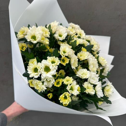 Daisies 11 pieces