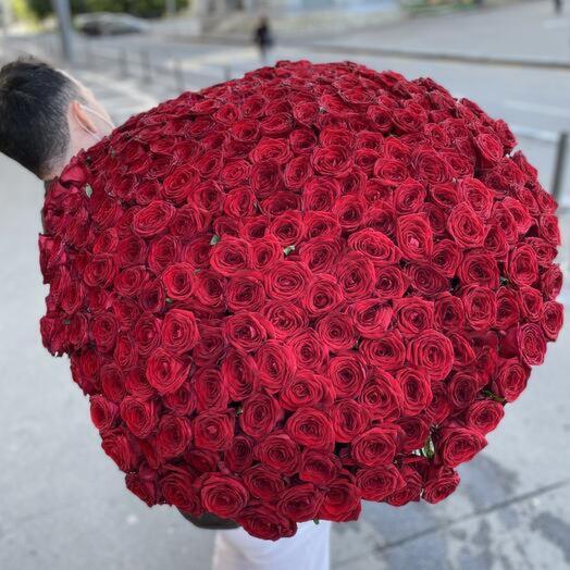 Букет из 301 розы