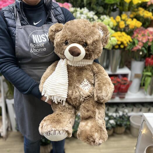 Teddy bear