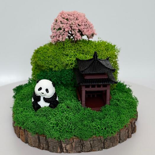 🎋 Композиция "Zen Panda" - миниатюрный японский сад со стабилизированным мхом