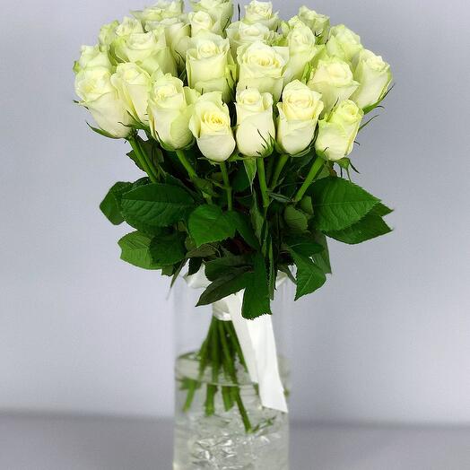 25 rosas kenianas