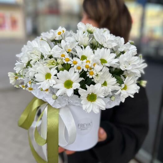 Ромашки в коробке xs