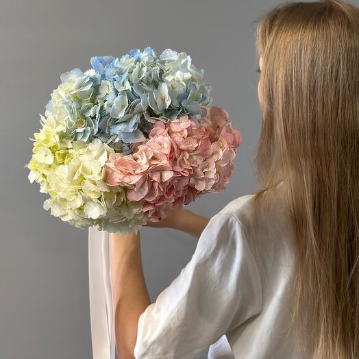 Монобукет из гортензии