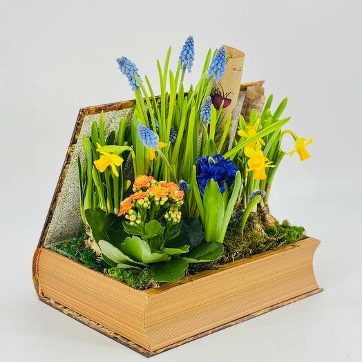 Цветочная композиция из луковичных растений в книге
