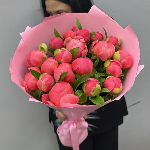 Букет из 19 пионов коралл Голландия