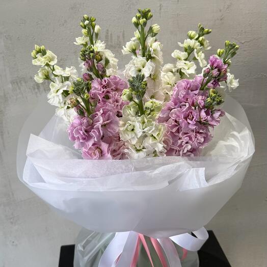 Маттиола микс