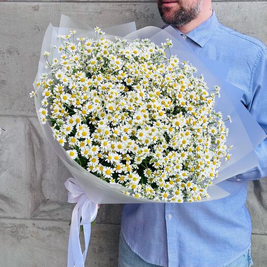 Delicate daisies 25pcs