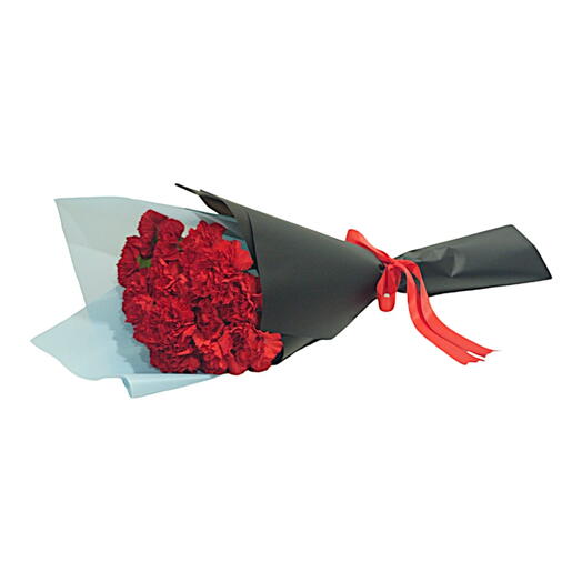 Lovely Carnation