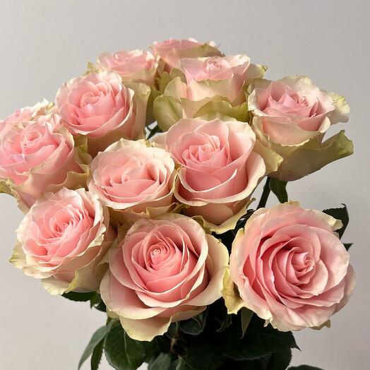 Роза 15 штук