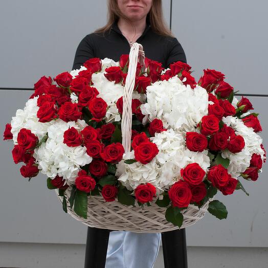 Basket of bright red roses and white hydrangea Viva la Vita