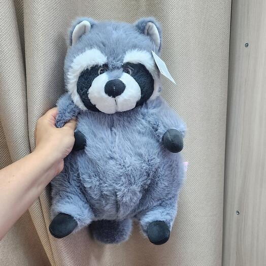 Енот
