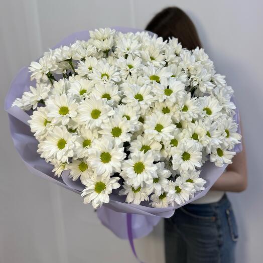 Ромашкова хризантема 15шт