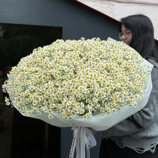 Букет из ромашек