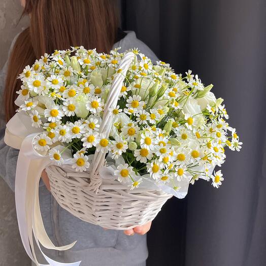 Air basket with chamomile