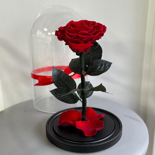 Rose in a Vip flask