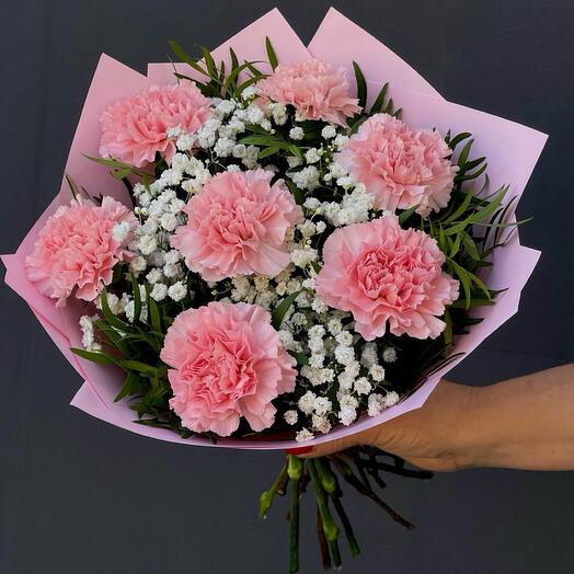 Dianthus