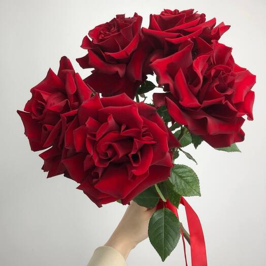 Монобукет Красные французские розы под ленту,5 штук