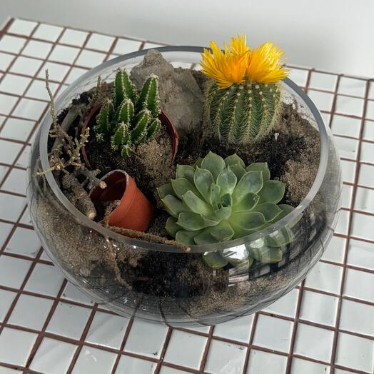 Сад в вазочке