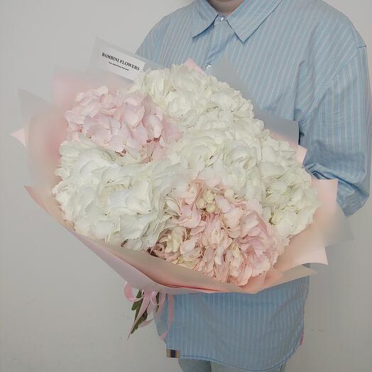 5 гортензий