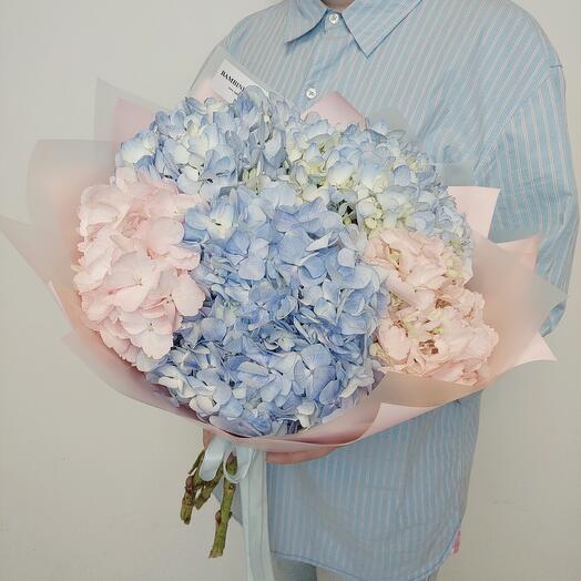 Пять гортензий  (323)