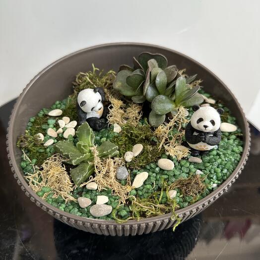 Флорариум панды
