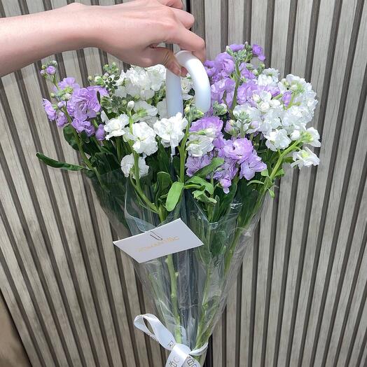 Матиолы в зонтике