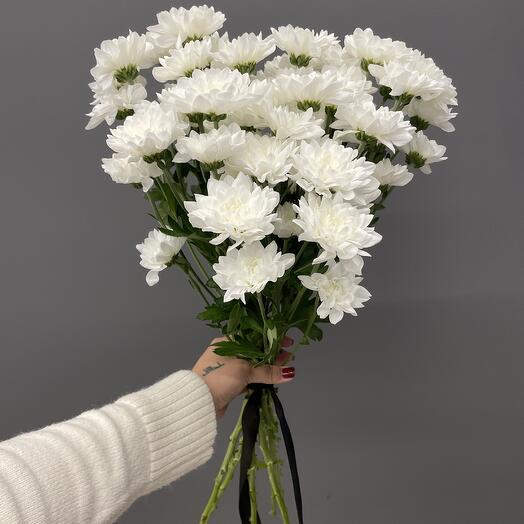 Хризантема