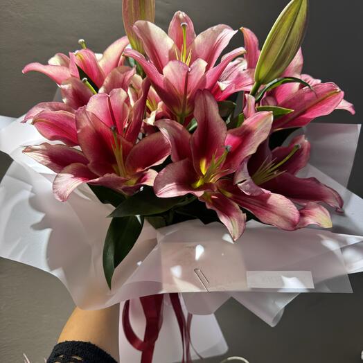 Lily 🌺