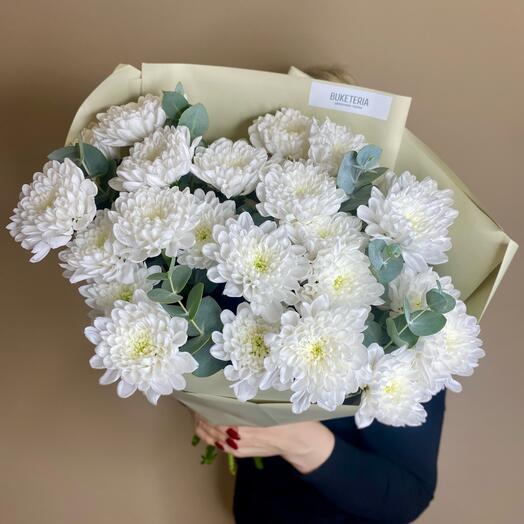 Пушистые хризантемы