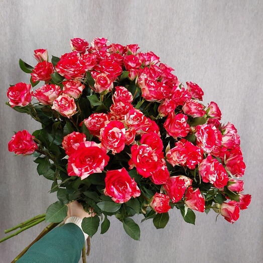 Кустовая роза 11 шт