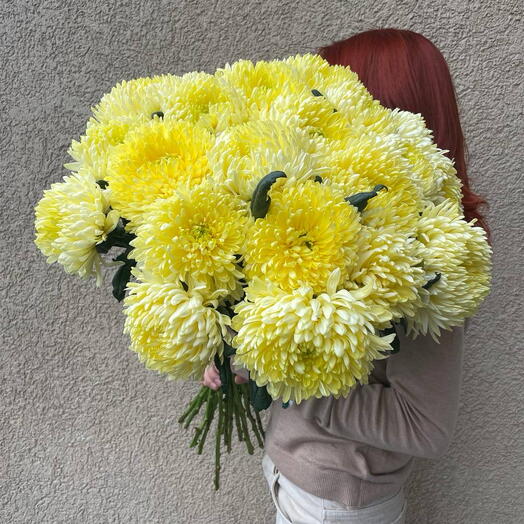 Букет желтых Хризантем 25 шт