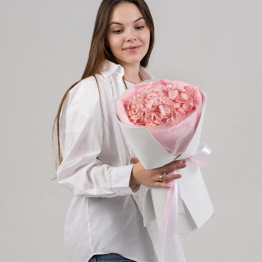 Гортензия розовая