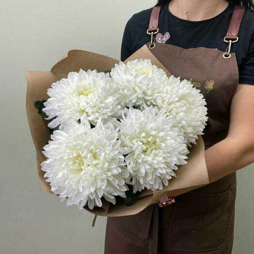 5 одноголовых хризантем