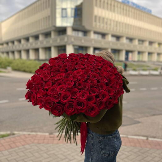 Розы Эквадор "Эксплорер", 60 см. Премиум
