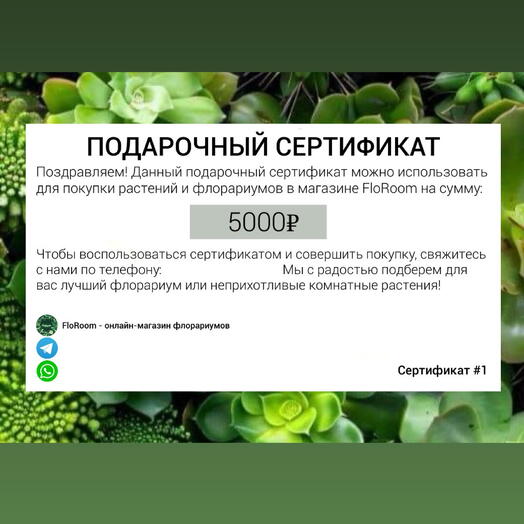 Подарочный сертификат на покупку флорариума или растений