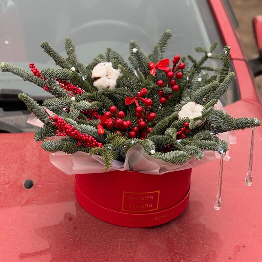 Нобилис в коробке