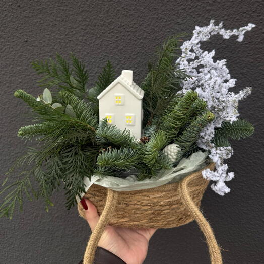 Заснеженный дом