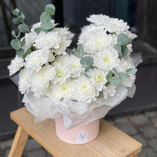 Белоснежная коробка хризантем Балтика и эвкалипт