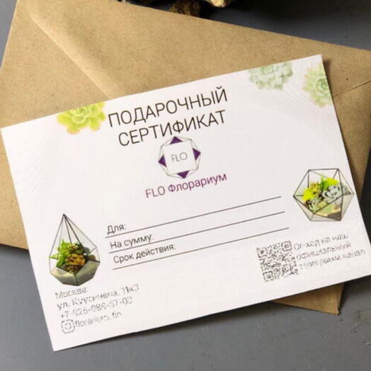 Подарочный сертификат на мастер класс с суккулентами Капля