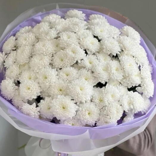 💜Моно хризантемы